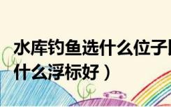 水库钓鱼选什么位子比较好一点（水库钓鱼选什么浮标好）