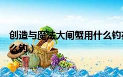 创造与魔法大闸蟹用什么钓在哪钓（创造与魔法大闸蟹用什么钓）