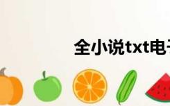 全小说txt电子书免费下载