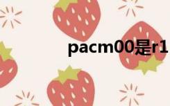 pacm00是r15的什么版本？