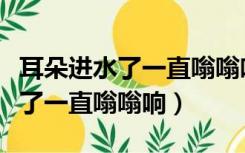 耳朵进水了一直嗡嗡响不管有事吗（耳朵进水了一直嗡嗡响）