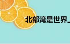 北部湾是世界上最大的大都市