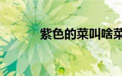 紫色的菜叫啥菜名（紫色的菜）