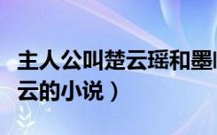 主人公叫楚云瑶和墨临渊的小说（主人公叫楚云的小说）