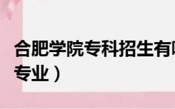 合肥学院专科招生有哪些专业（合肥学院专科专业）