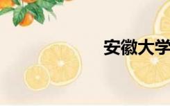 安徽大学管理学院