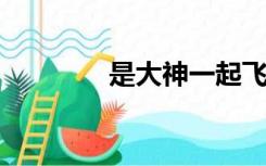 是大神一起飞小萝莉太酷了