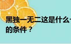 黑独一无二这是什么卡？办这个卡需要什么样的条件？