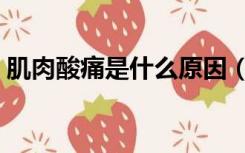肌肉酸痛是什么原因（肌肉酸痛是什么原因）