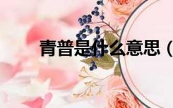 青普是什么意思（青普是什么意思）
