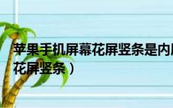 苹果手机屏幕花屏竖条是内屏坏了还是外屏（苹果手机屏幕花屏竖条）