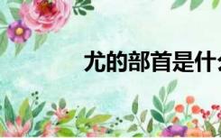 尤的部首是什么（尤的部首）