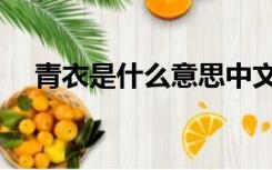 青衣是什么意思中文（青衣是什么意思）