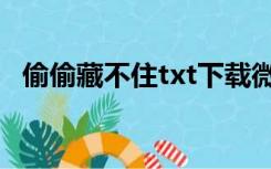 偷偷藏不住txt下载微盘（偷偷藏不住txt）