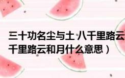 三十功名尘与土 八千里路云和月的意思（三十功名尘与土八千里路云和月什么意思）