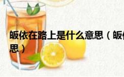 皈依在路上是什么意思（皈依不在天堂皈依就在路上什么意思）