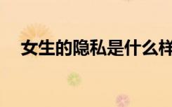 女生的隐私是什么样的？你能看见它吗？