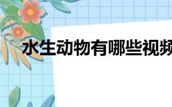 水生动物有哪些视频（水生动物有哪些）
