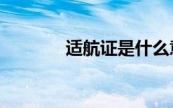 适航证是什么意思（适航证）