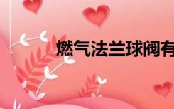 燃气法兰球阀有哪些规格型号？