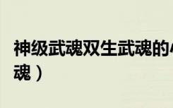 神级武魂双生武魂的小说（绝世武神双生子武魂）