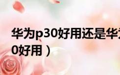 华为p30好用还是华为p30pro好用（华为p30好用）
