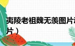 夷陵老祖魏无羡图片动漫（夷陵老祖魏无羡图片）