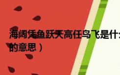 海阔凭鱼跃天高任鸟飞是什么意思（海阔凭鱼跃天高任鸟飞的意思）