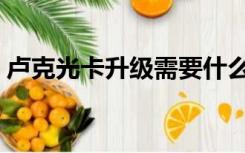 卢克光卡升级需要什么（卢克光卡升级概率）