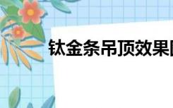 钛金条吊顶效果图（钛金字效果）