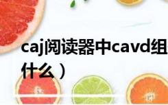 caj阅读器中cavd组件是什么（caj阅读器是什么）