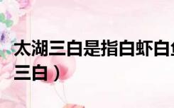 太湖三白是指白虾白鱼和什么（太湖三白是哪三白）