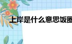 上岸是什么意思饭圈（上岸是什么意思）