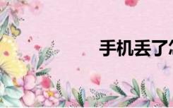手机丢了怎么定位？