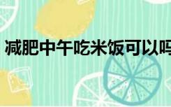 减肥中午吃米饭可以吗（减肥中午吃什么好）