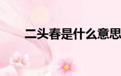 二头春是什么意思（etc是什么意思）