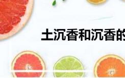 土沉香和沉香的区别（土沉香）