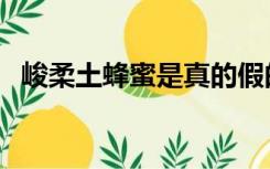 峻柔土蜂蜜是真的假的（峻柔土蜂蜜真假）