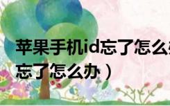 苹果手机id忘了怎么办能下app（苹果手机id忘了怎么办）