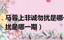 马蓉上非诚勿扰是哪一期节目（马蓉上非诚勿扰是哪一期）