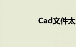 Cad文件太大pu后无用