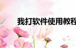 我打软件使用教程（我打软件登录）
