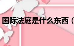 国际法庭是什么东西（国际法庭是什么样的）