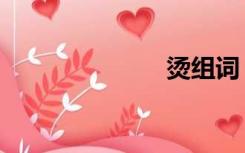 烫组词（烫样）