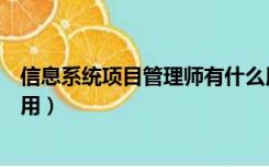 信息系统项目管理师有什么用（信息系统项目管理师有什么用）