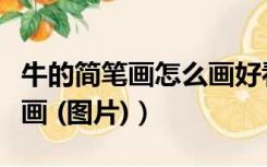 牛的简笔画怎么画好看可爱（牛的简笔画怎么画 (图片)）