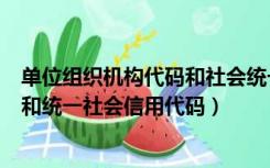 单位组织机构代码和社会统一信用代码（企业组织机构代码和统一社会信用代码）