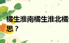 橘生淮南橘生淮北橘生淮北amp 39是什么意思？