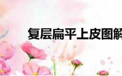 复层扁平上皮图解（复层扁平上皮）
