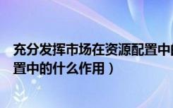充分发挥市场在资源配置中的什么（充分发挥市场在资源配置中的什么作用）
